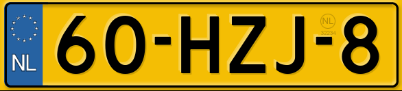 60HZJ8