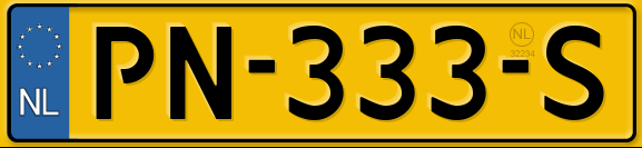 PN333S