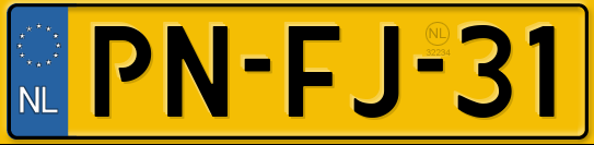 PNFJ31