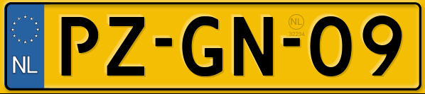 PZGN09